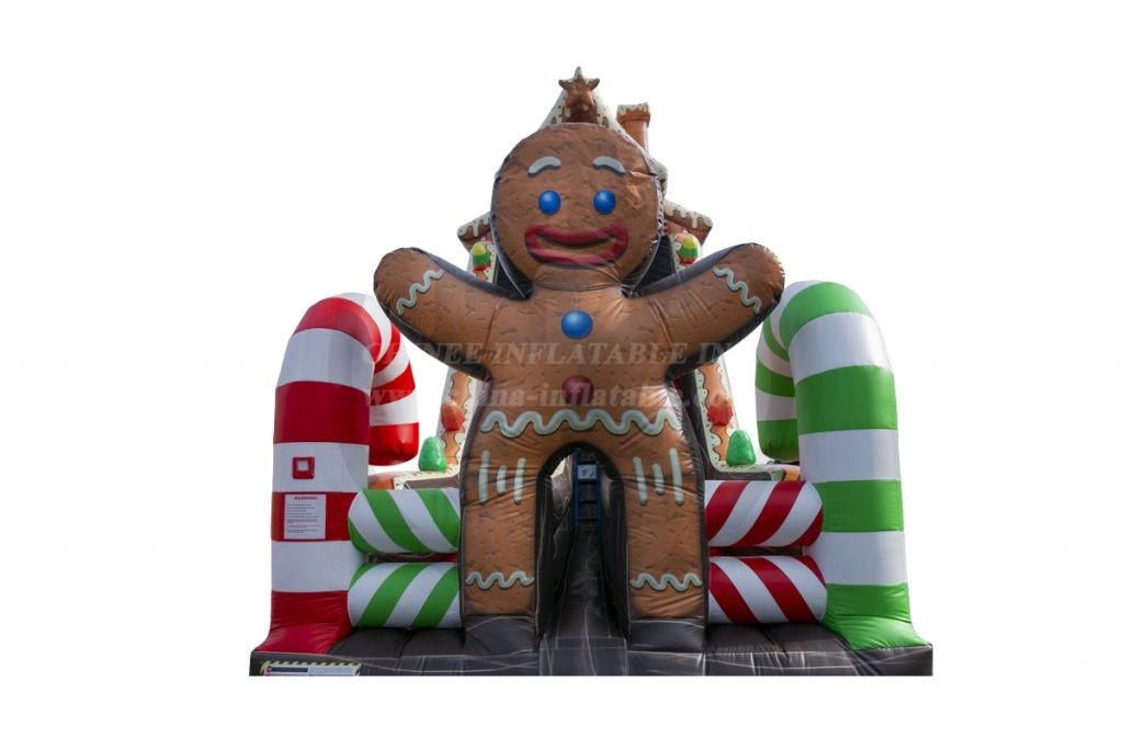 T8-4021 Gingerbread House Slide