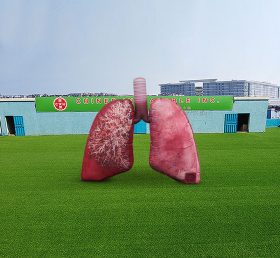S4-533 Herz-Lungen-Modell des aufblasbaren Atmungssystems