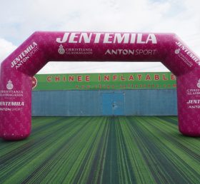 Arch2-394Q Inflatable Arch