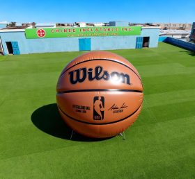 S5-048 Basketball Inflatable Model Produ...