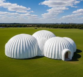 Tent1-6236 Geodätische Kuppel Weißes Aufblasbares Zelt