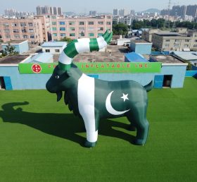 Cartoon3-947 Pakistan Thema Aufblasbare Cartoon