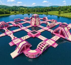 S645 Pink Panther Thema Aufblasbarer Wasserpark