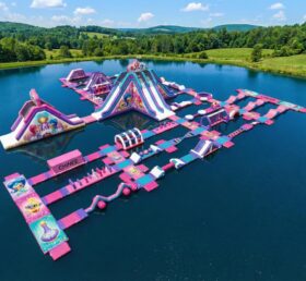 S649 Shimmer & Shine Thema Aufblasbarer Wasserpark