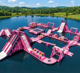 S698 Pink Panther Thema Aufblasbarer Wasserpark