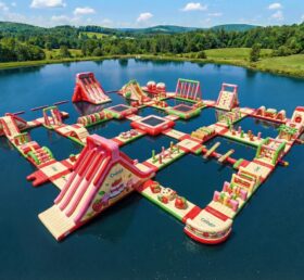S708 Erdbeer-Kurzschluss-Themen aufblasbarer Wasserpark