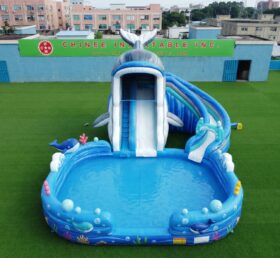 T8-6224 Wal-Thema Aufblasbare Wasserrutsche