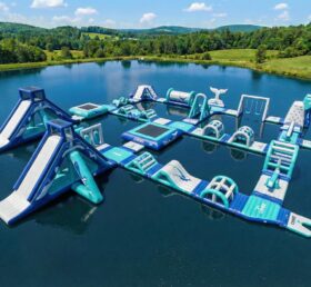 S751 Wal-Thema Aufblasbarer Wasserpark
