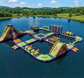 S804 Monster-Themen aufblasbarer Wasserpark