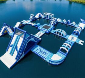 S834 Wal-Thema Aufblasbarer Wasserpark