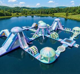 S856 Quallen-Themen Aufblasbarer Wasserpark