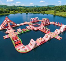 S933 Erdbeer-Kuchen-Themenaufblasbarer Wasserpark