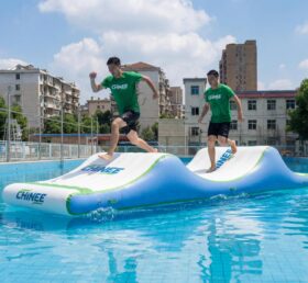 T10-615 Spannende aufblasbare Rutschwelle für Wasserpark